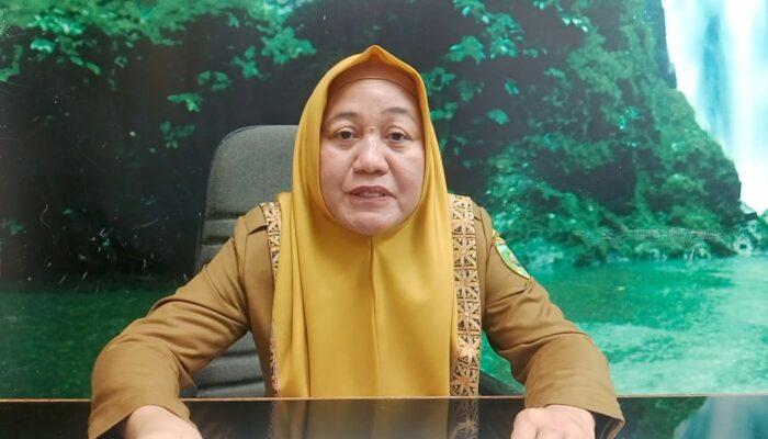 ISPA di Sumsel Mulai Mereda, Dinkes Ingatkan Bahaya Kabut Asap dan Minta Warga Batasi Aktivitas Luar Ruangan