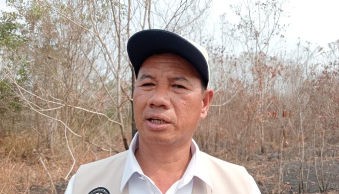 PALI Capai 1.300 Titik Hotspot, 600 Hektare Lahan Gosong, BPBD: Jangan Bakar Lahan Sembarangan!