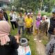Wujud Hilirisasi Batu Bara untuk Pertanian, PTBA Bersama UGM Uji Coba Pupuk Kalium Humat di Sawahlunto