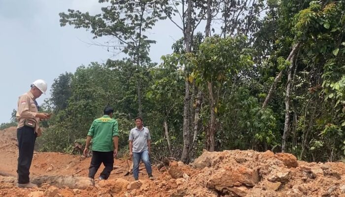 Setahun Lebih Tak Panen Getah, Warga Gunung Megang Dalam Keluhkan Dampak Tambang Batu Bara
