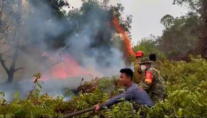 Lahan Semak Belukar Seluas 1 Hektare di Sukarame Hangus Terbakar