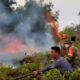 Lahan Semak Belukar Seluas 1 Hektare di Sukarame Hangus Terbakar