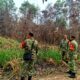 Pastikan Lahan Seluas 2 Ha Bebas dari Api, Koramil Lemabang Sisir Kawasan Sungai Selincah