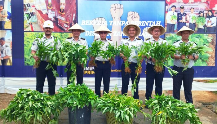 Dukung Ketahanan Pangan dan Optimalisasi Lahan Produktif, Rutan Kelas I Palembang Kembali Panen Sayuran