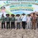 Bongkar Ratoon Tebu Jadi Strategi Tingkatkan Produksi dan Kesejahteraan Petani Tulungagung